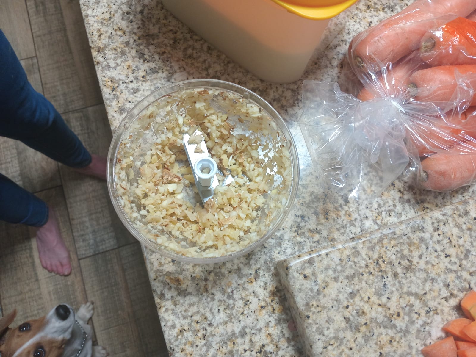 minced garlic and ginger in a mini chopper, a dog watching from the floor